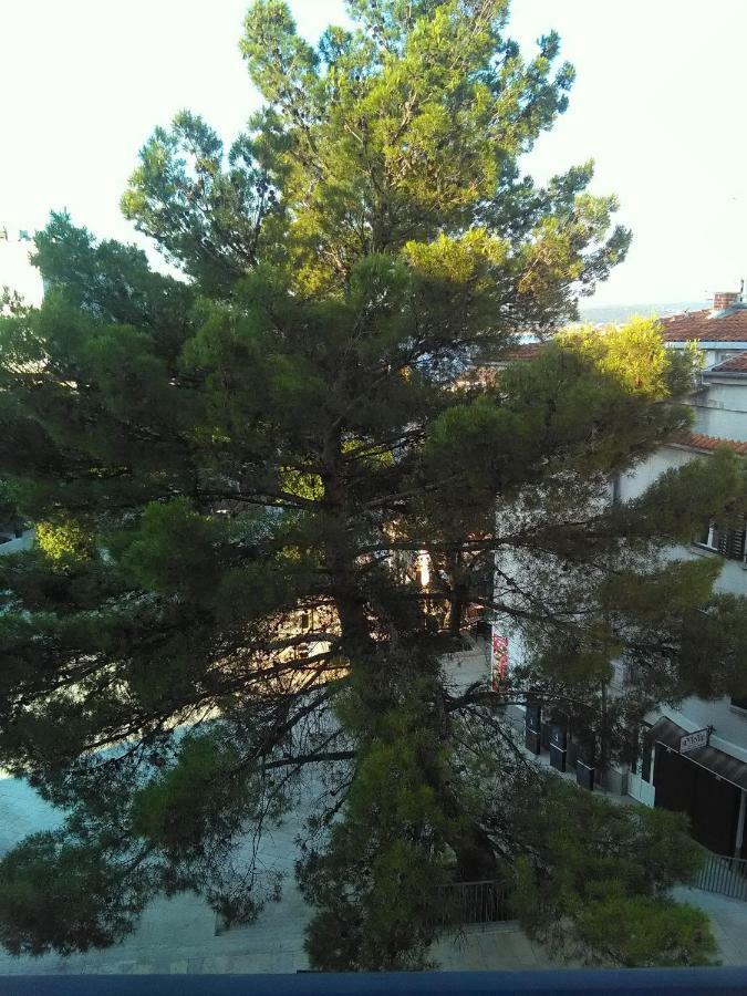 Apartment Sandra 2+2 *** Crikvenica Dış mekan fotoğraf